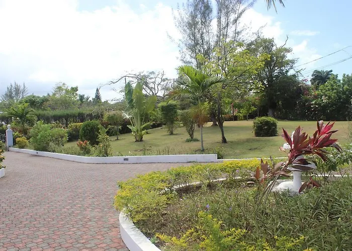 Loyola 3* Ocho Rios