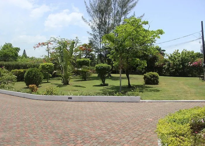 Loyola Ocho Rios