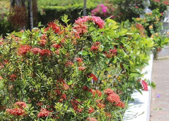 Loyola Guest house 3*