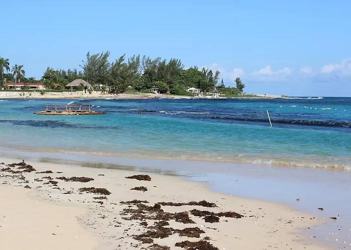 Loyola Guest house Ocho Rios