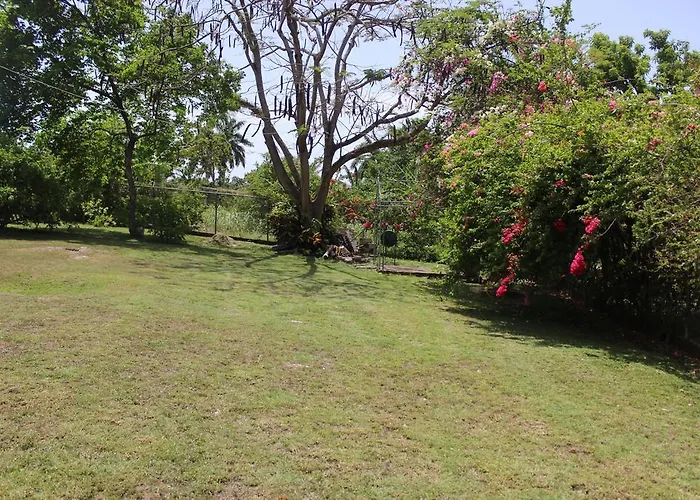 Loyola Ocho Rios