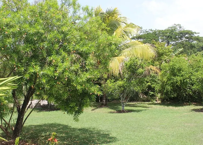 Guest house Loyola