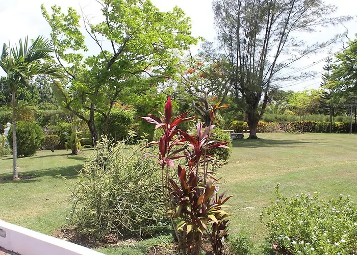Loyola Guest house Ocho Rios