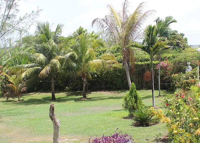 Loyola 3* Ocho Rios